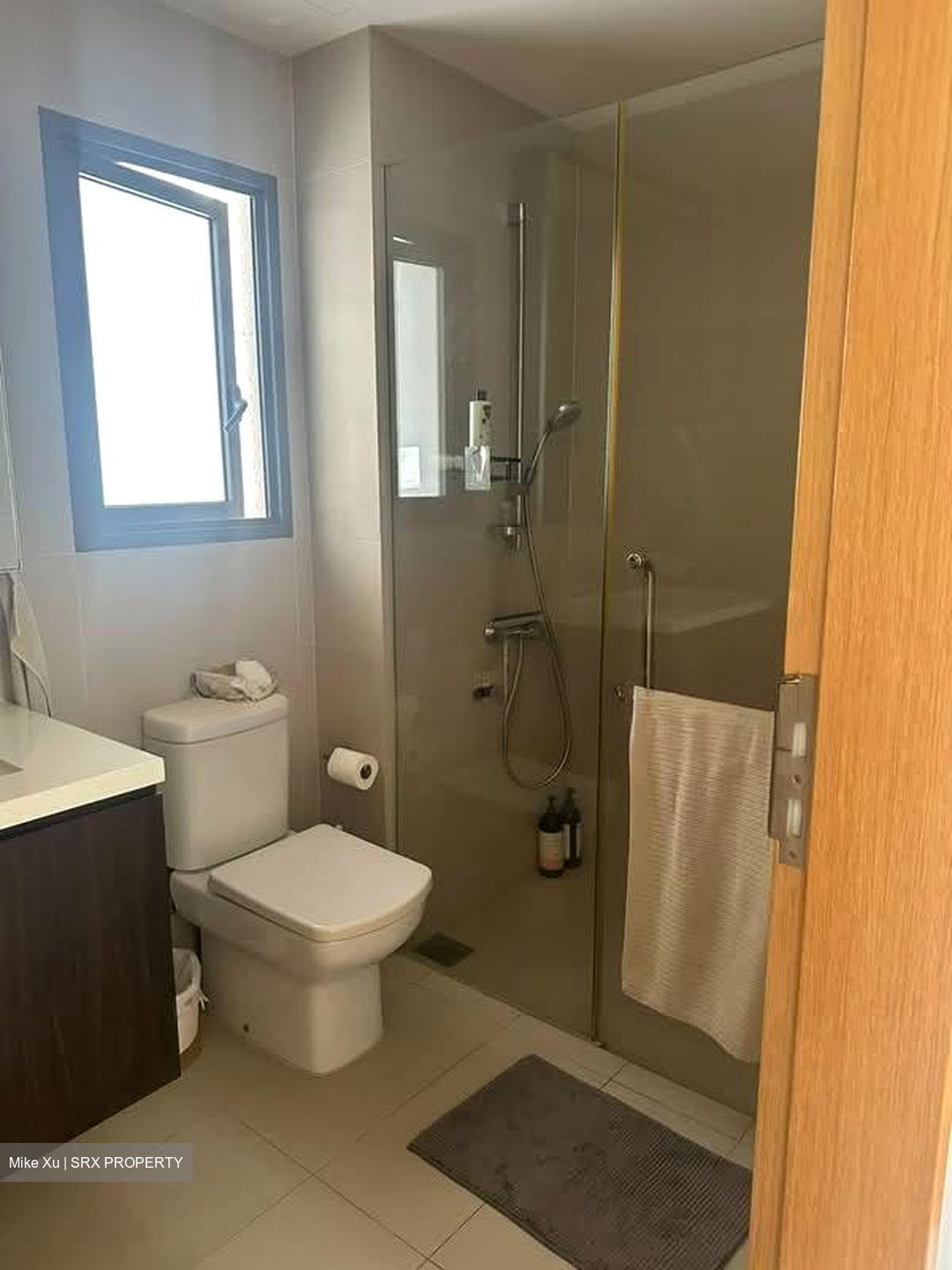 Meadows @ Peirce (D26), Condominium #599218441